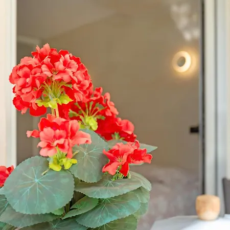 Apartment Kellys' Camelias San Bartolome de Tirajana (Gran Canaria)